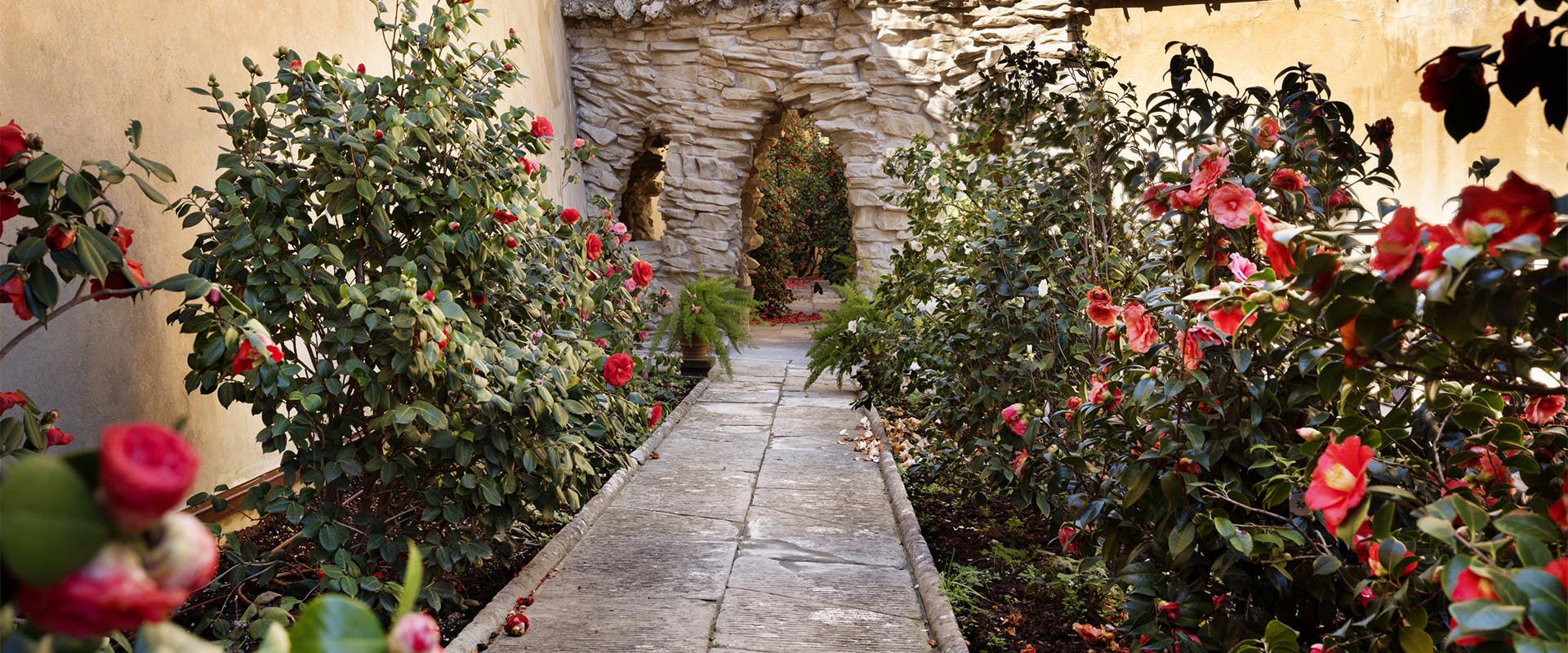 Apre per la prima volta al pubblico un angolo segreto del Giardino di Boboli Apre per la prima volta al pubblico un angolo segreto del Giardino di Boboli